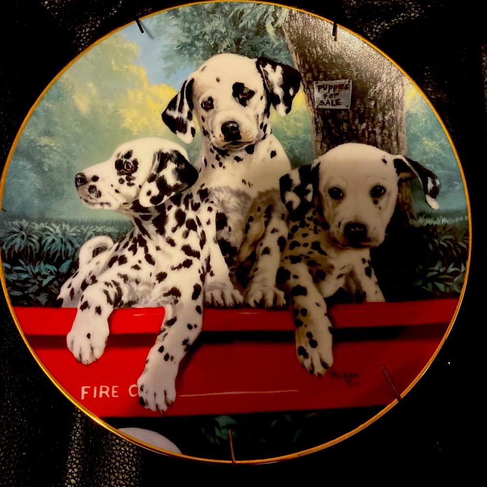 5 Amazing Vintage Plates